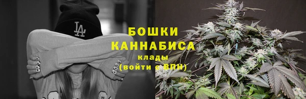 mdpv Белокуриха