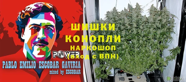 mdpv Белокуриха