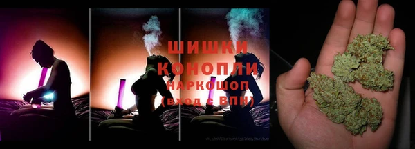 соль ск Богородск