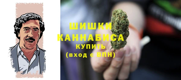 сатива Богданович