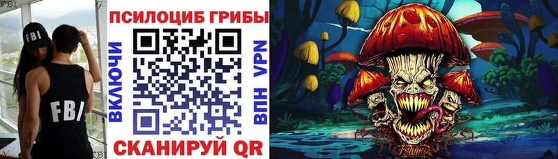 blacksprut зеркало  где продают   Гатчина  Псилоцибиновые грибы Cubensis 